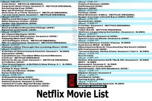 Netflix Movie List - How to Access the Netflix Movie List