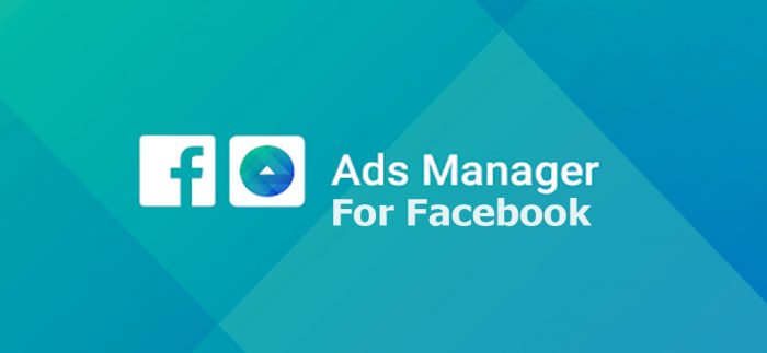Ads Manager for Facebook - All you Need to Know