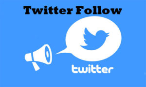 Twitter Follow