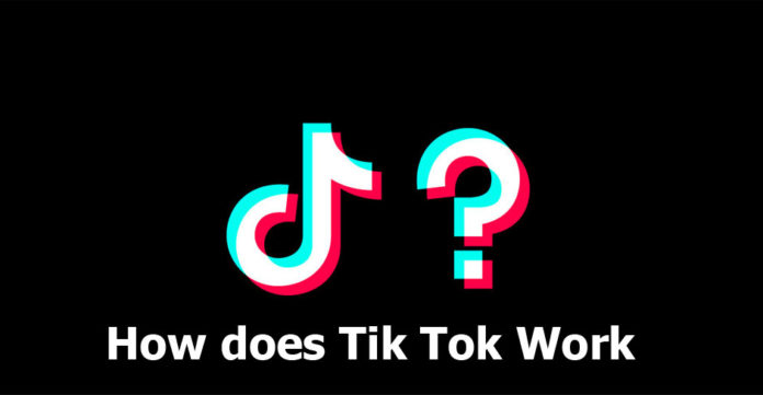 does tik tok show who shared your video