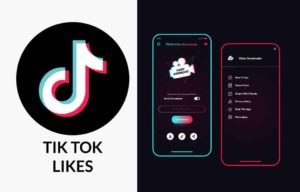 Tik Tok Video Download - Tik Tok Website to Download Tik Tok