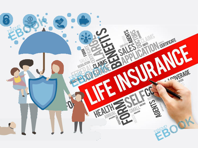 Life Insurance - Life Insurance Guide to Policies