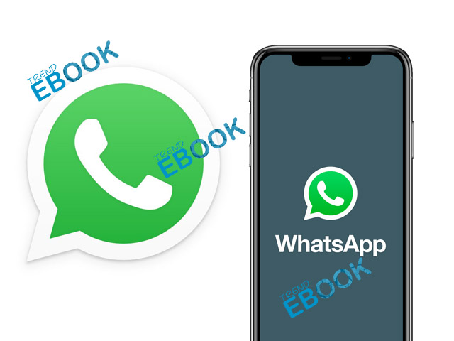 WhatsApp App - Set WhatsApp Messenger for Android & iOS | Download WhatsApp App
