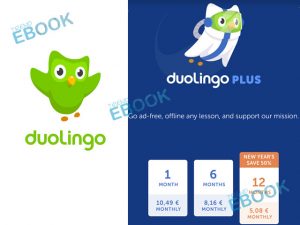 Duolingo Plus - How Much is Duolingo Plus