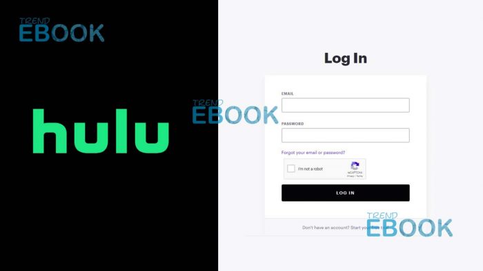 Hulu Login - How to Login to Hulu Account - TrendEbook