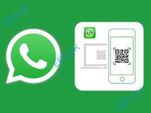 WhatsApp Web Download - Download WhatsApp Desktop for Windows