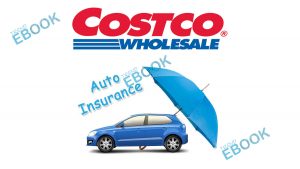 Costco Auto Insurance - About Costco Auto & Home Insurance
