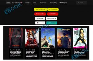 Hubflix - Bollywood, Hollywood Movies Download Website | Hubflix.com