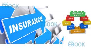 Insurance - Fact About Insurance Services You Need to Know
