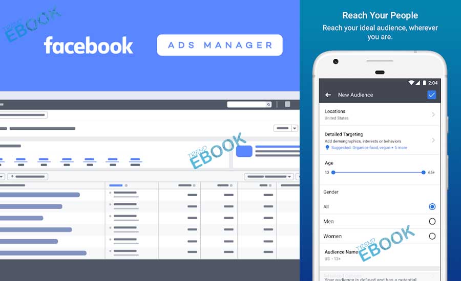 Ads Manager for Facebook - Facebook Business Suite and Business Manager Overview