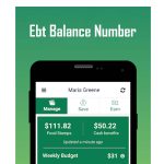 Ebt Balance Number – ConnectEBT Mobile App