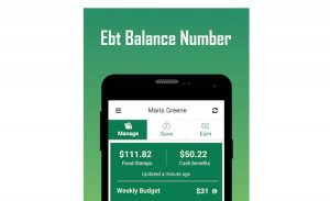 Ebt Balance Number - ConnectEBT Mobile App