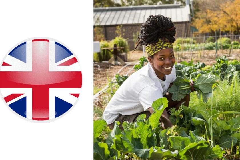 Ag Recruitment UK - Urgently Needed | Apply Now