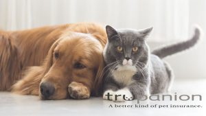 Trupanion Pet Insurance - Get An Insurance Quote For Your Pets