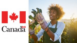 Unskilled Jobs in Canada With Visa Sponsorship