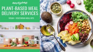 Plant-Based Meal Delivery - Best Plant-Based Meal Delivery Services in 2022