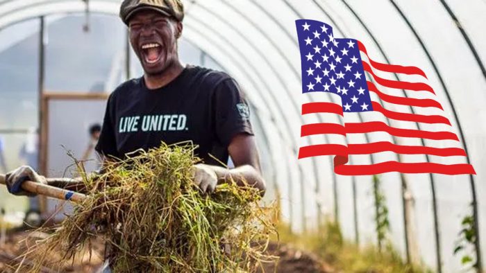 Agricultural Jobs In USA With Visa Sponsorship