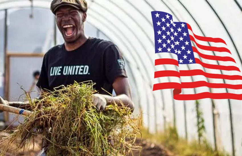 Agricultural Jobs In USA With Visa Sponsorship