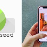 Snapseed – Download Free Photo Editing App