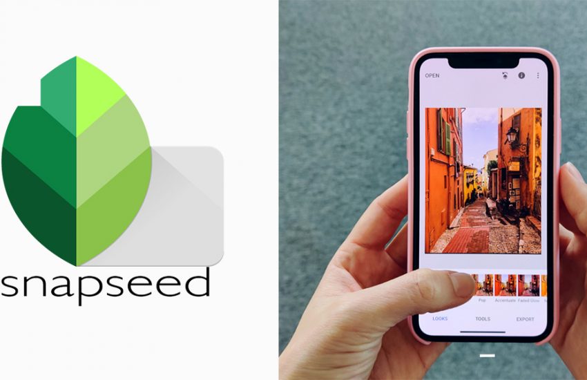 Snapseed - Download Free Photo Editing App