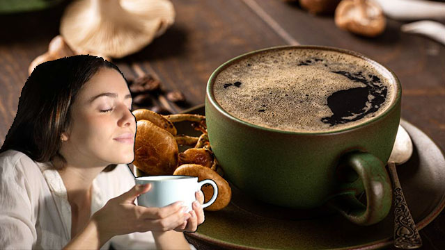 Best Mushroom Coffees To Buy In 2023