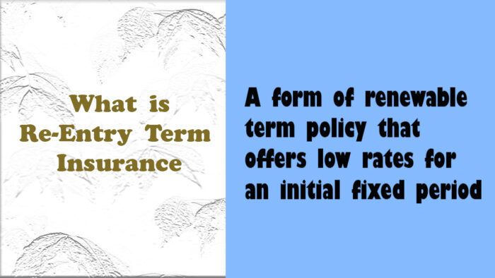 Re-Entry Term Insurance: What It Is and How It Works