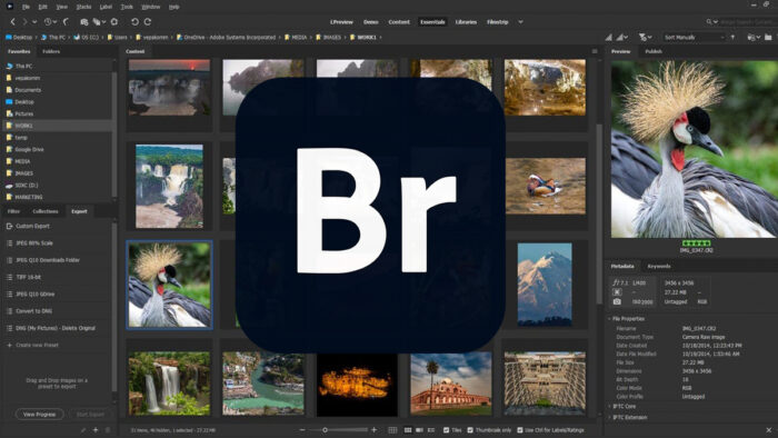 What is Adobe Bridge?