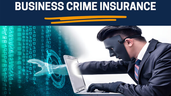 What is Business Crime Insurance?