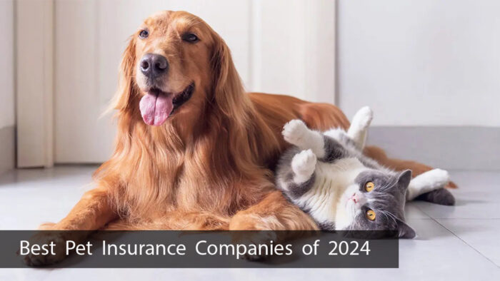 Best Pet Insurance Companies of 2024